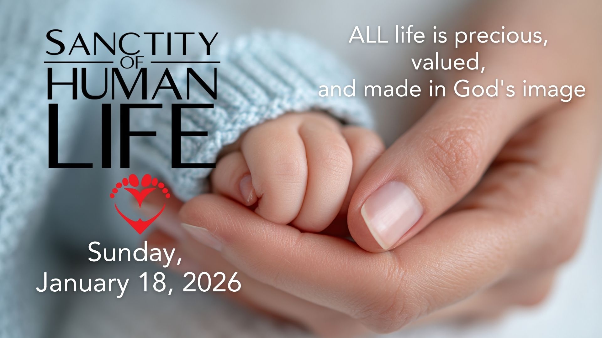 Sanctity of Human Life Sunday - visual 2026